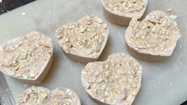 Goat Milk Soap with Oatmeal